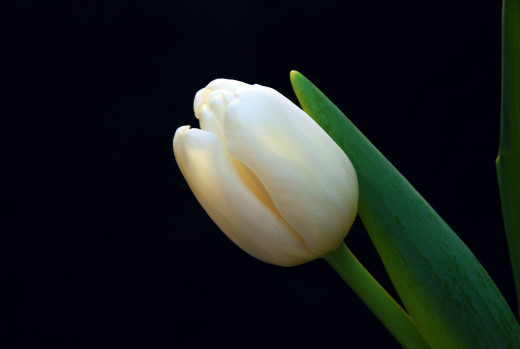624844 (a): :2240x1500